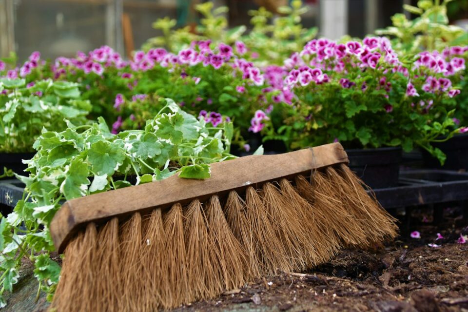 Layered no-dig organic gardening bed with cardboard base, compost, mulch, and seedlings