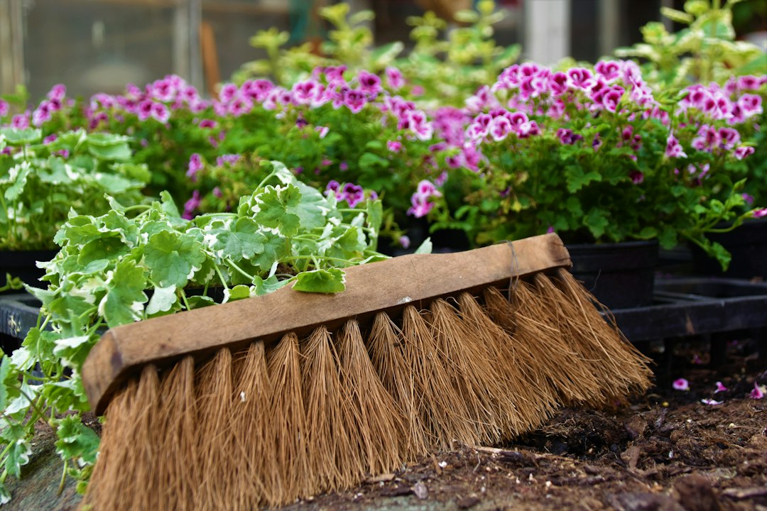 Cover illustration: no-dig organic gardening raised beds and mulch layers